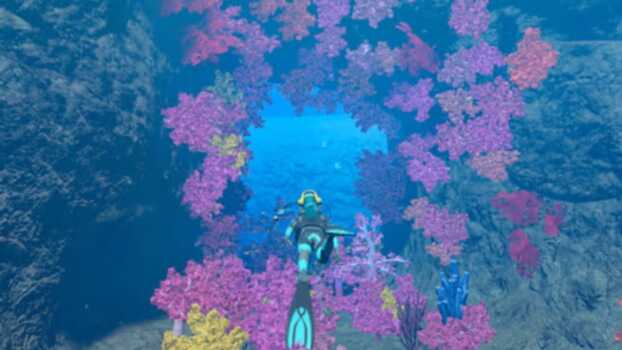 Endless Ocean: Luminous Skidrow Screenshot 2